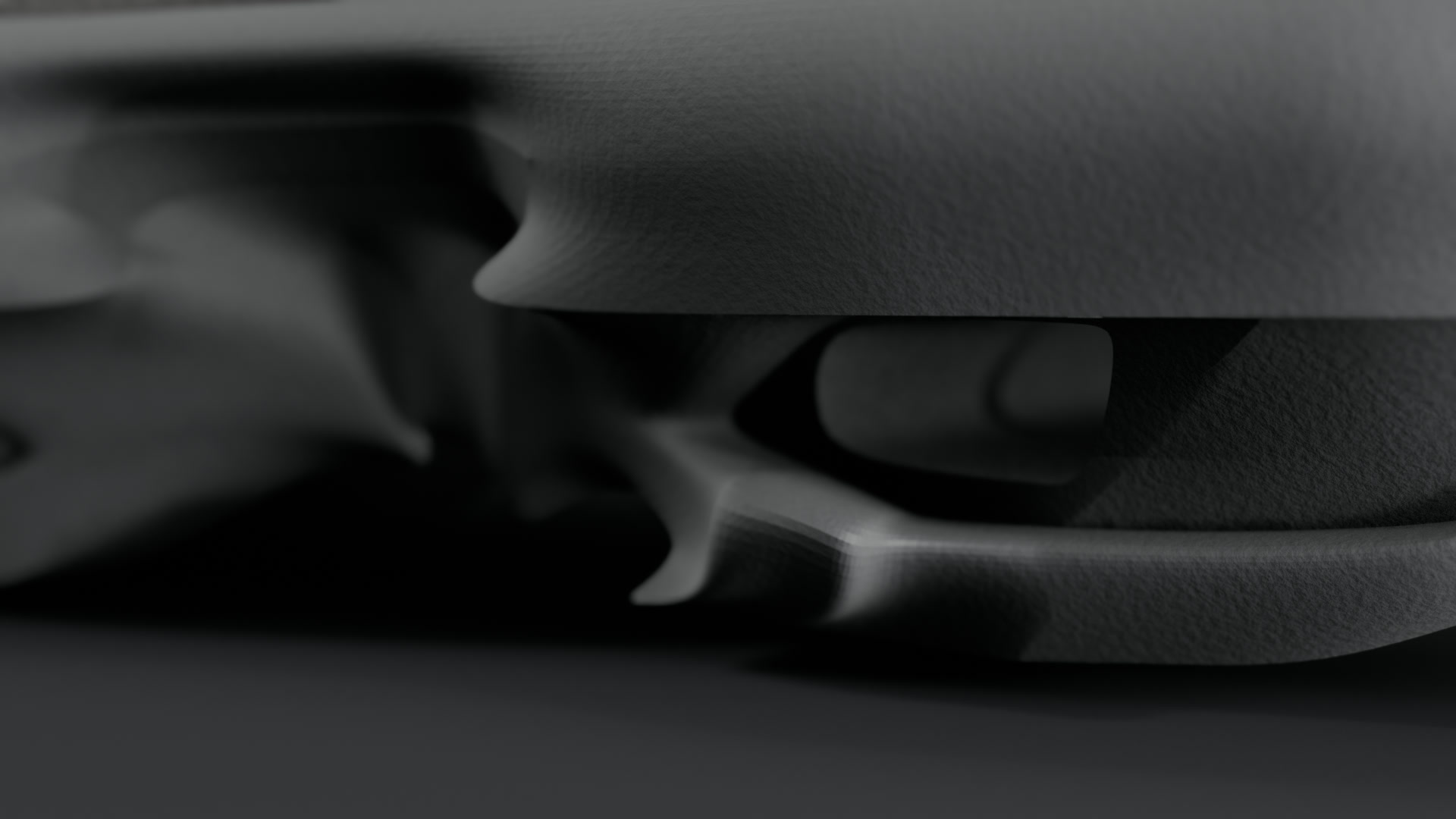 Macro of the sculpted tunnel in the black sole
