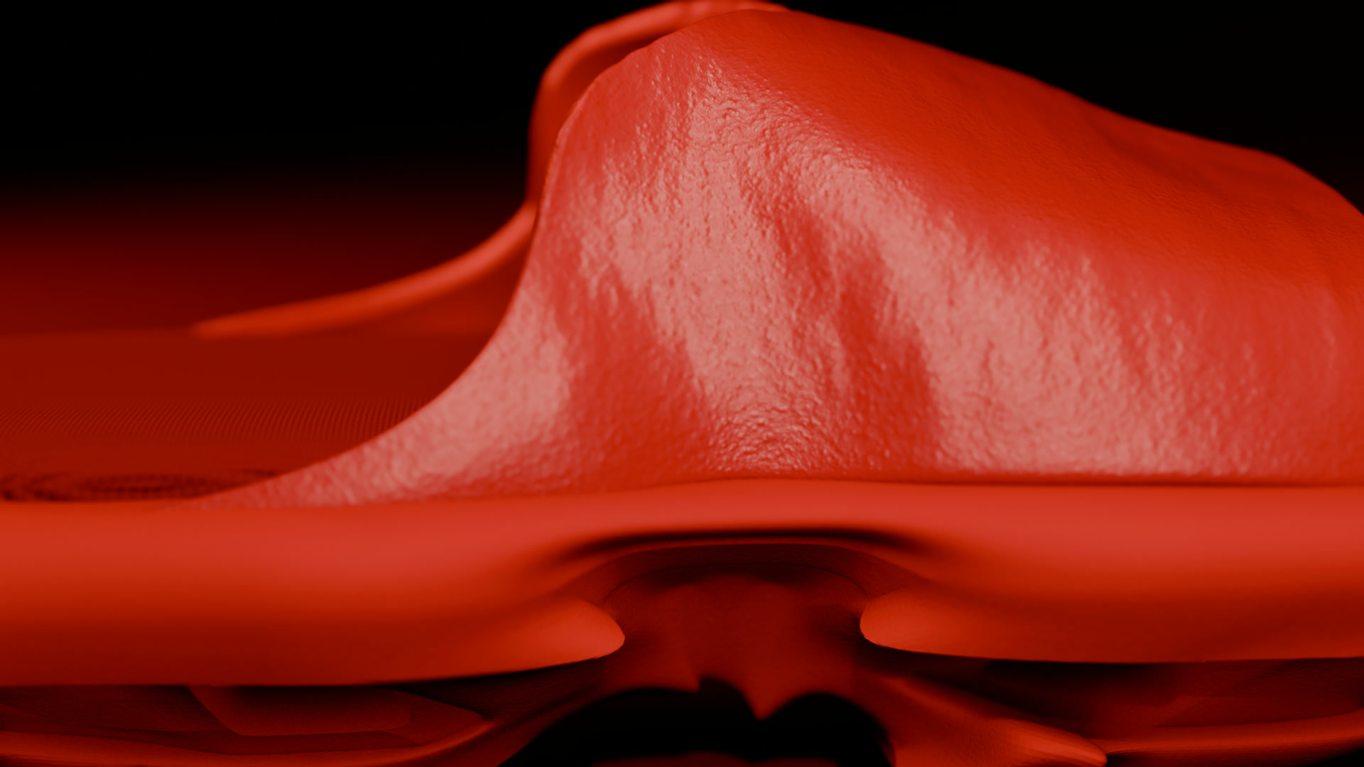 Red leather upper, close